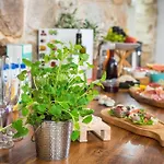 토니 디자인 아파트먼트 4*
