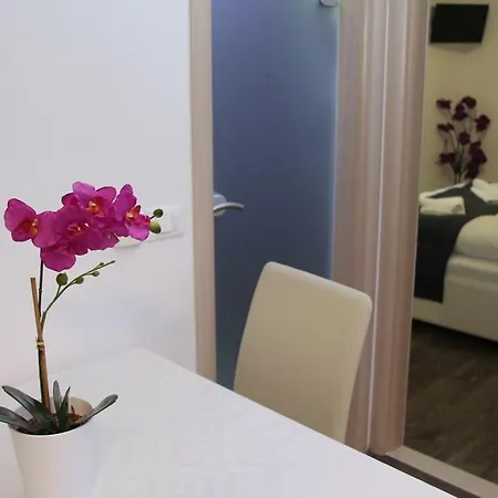 Toni Design Guest house